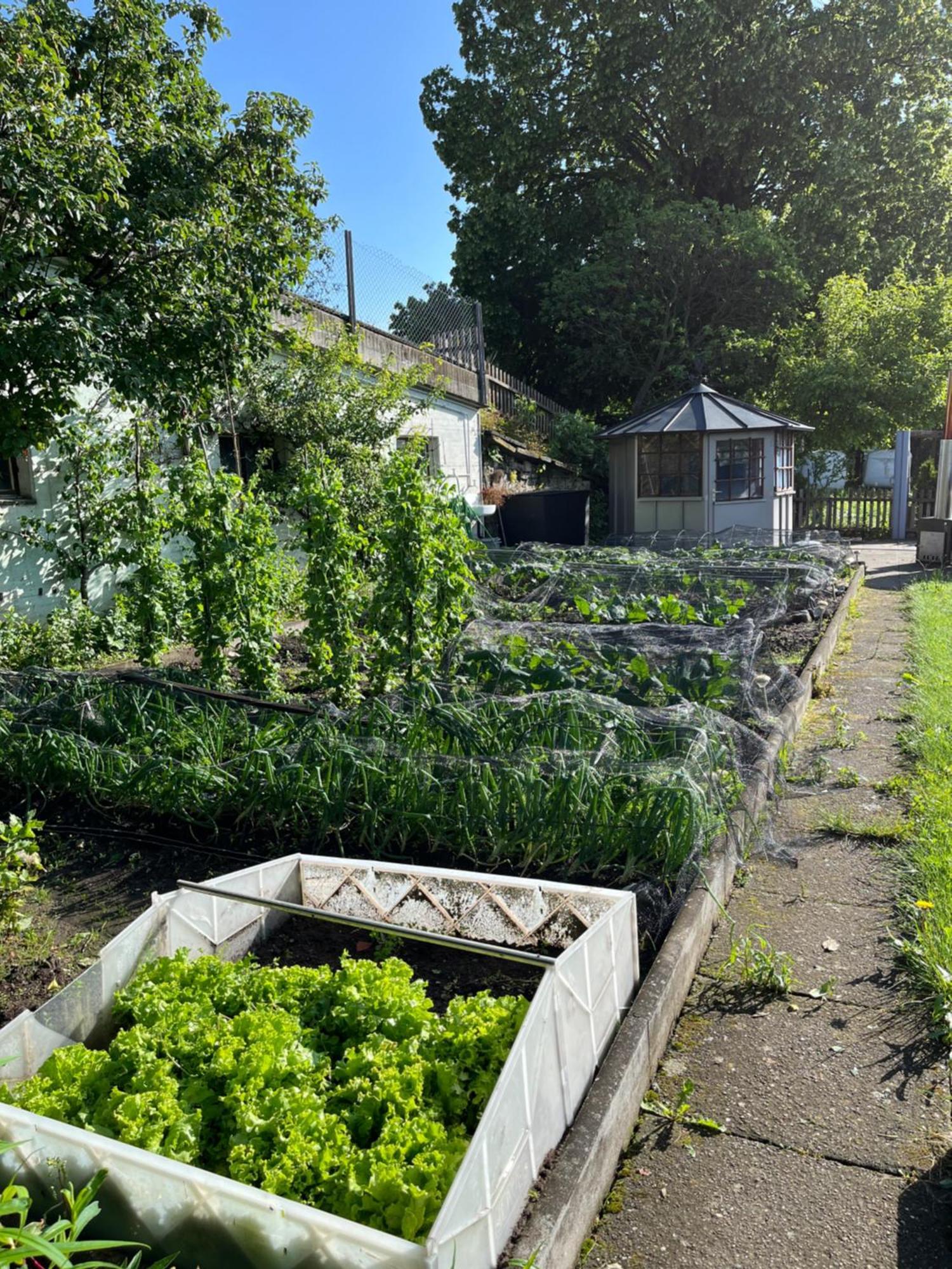 Ferienwohnung Auf Bauernhof Mit Hotpot Und Sauna Sumiswald Екстериор снимка